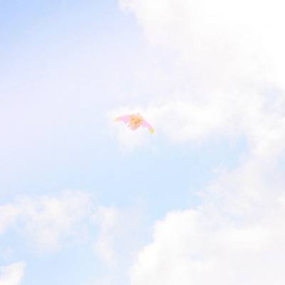 斗破圣境手游bt版下载